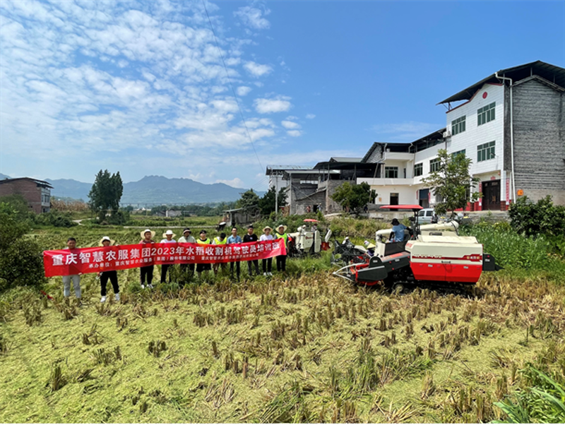 1703726384154750.png 图片1.png
