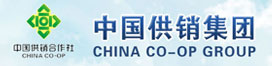 中国九州ku酷游集团